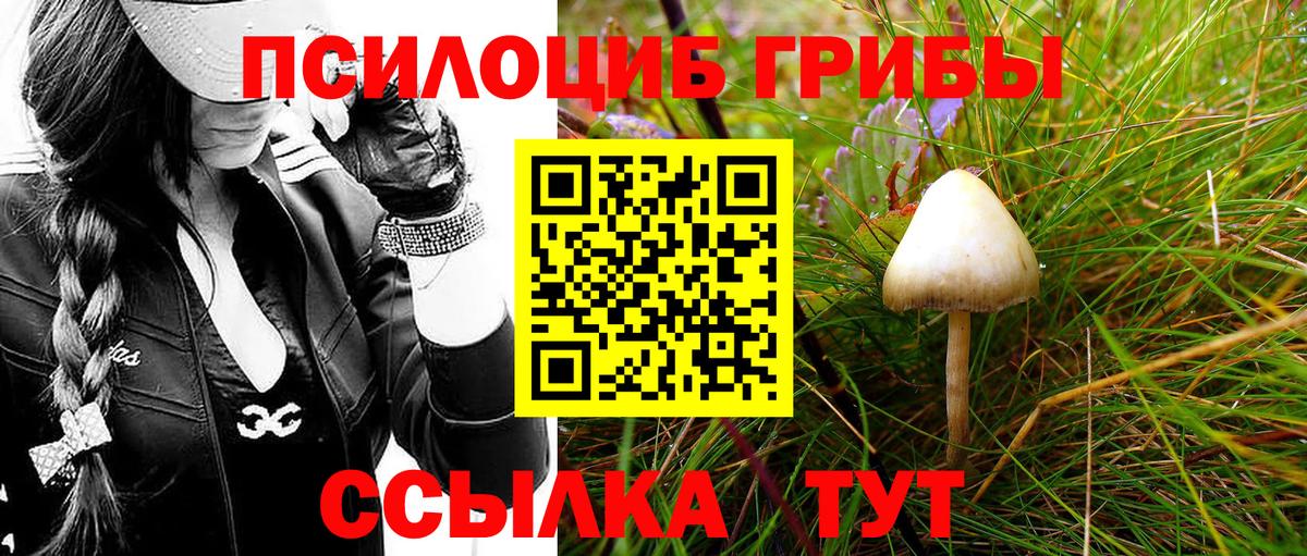 Псилоцибиновые грибы Psilocybe  Вход с VPN  Каменск-Уральский  Галлюциногенные грибы GOLDEN TEACHER 
