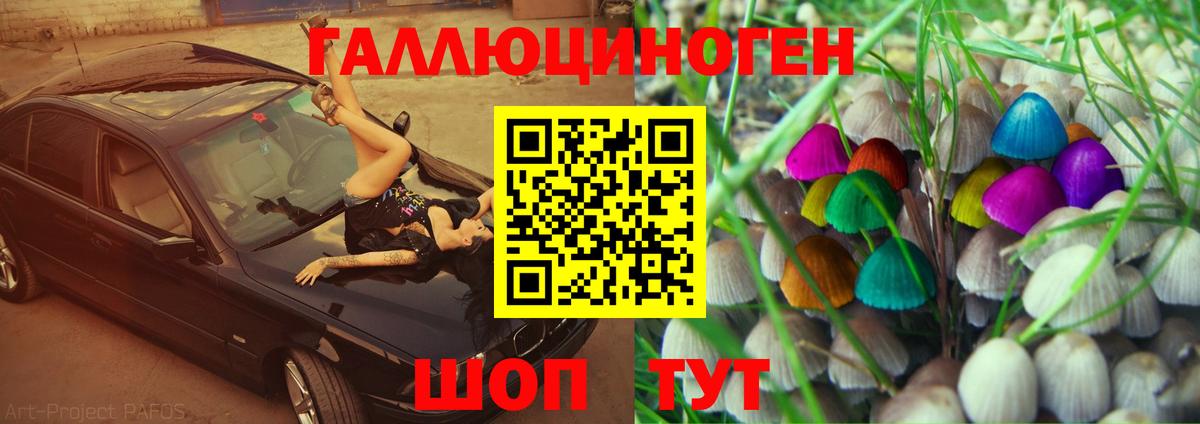 Псилоцибиновые грибы Psilocybine cubensis Каменск-Уральский